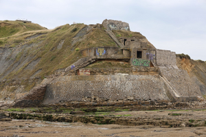Lutte contre les nuisibles Fort-de-France
