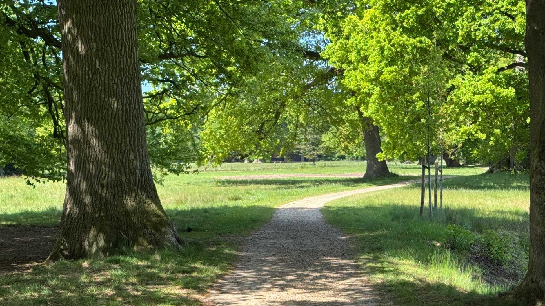 Lutte contre les nuisibles à Fort-de-France